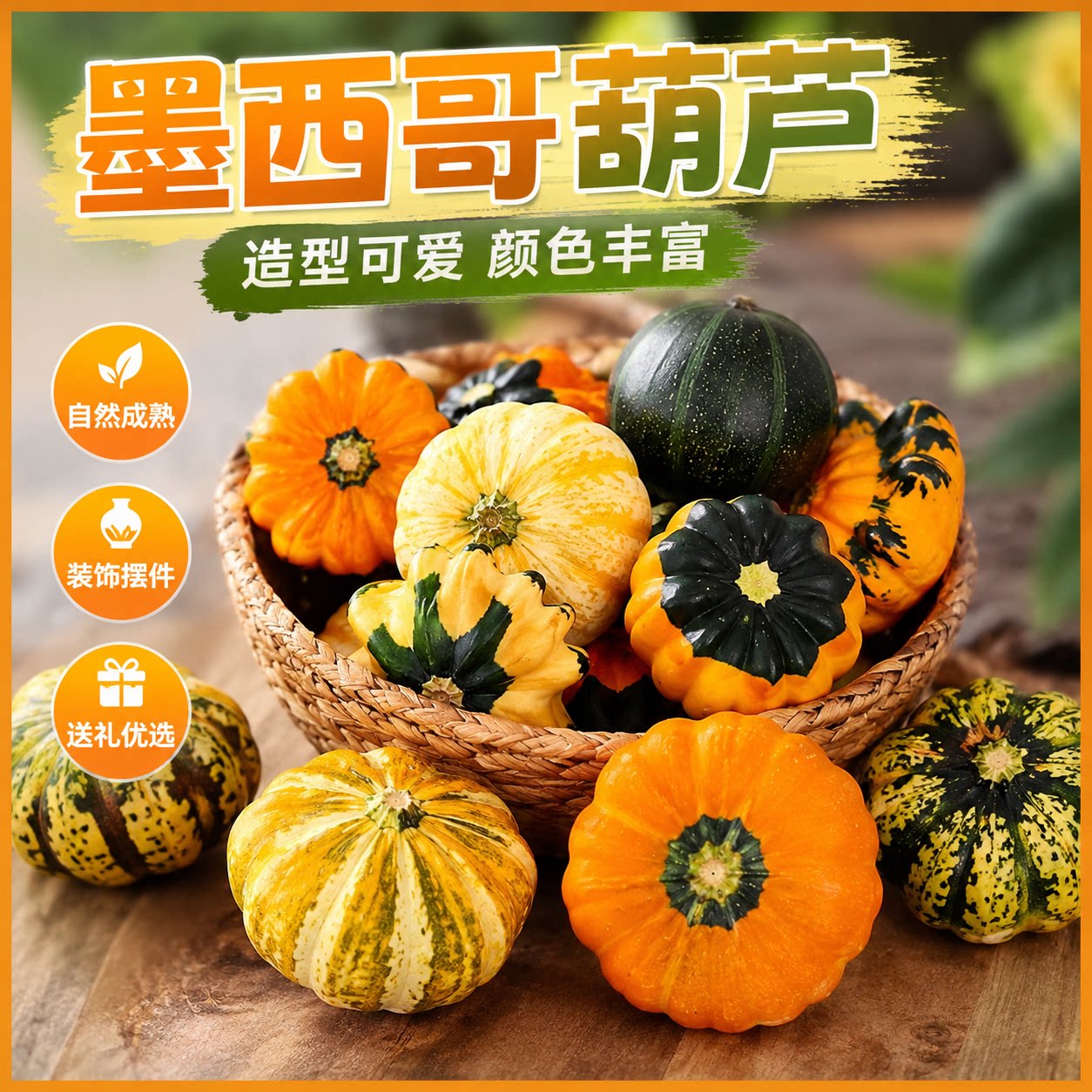 墨西哥七彩葫芦手捻小葫芦异形观赏小南瓜墨西哥葫芦摆件挂件装饰