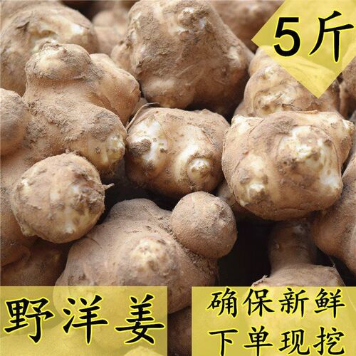 生洋姜多少钱 生洋姜价格 小麦优选