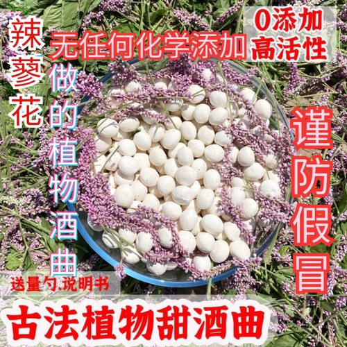 辣蓼草辣蓼花甜酒曲天然酒曲药饼