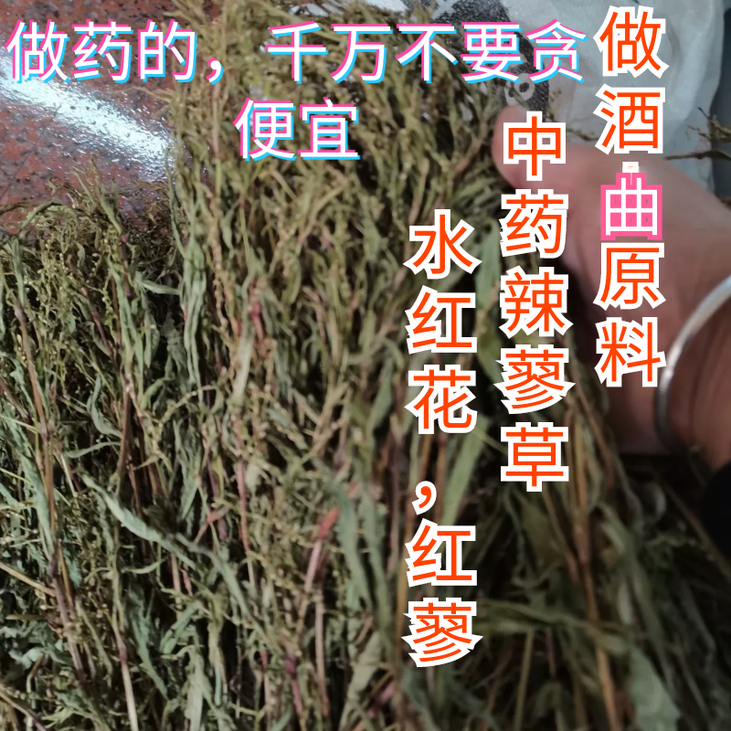 福建草药水红花红辣蓼晒干中药水辣蓼白花辣蓼泡水红蓼草酒曲材料