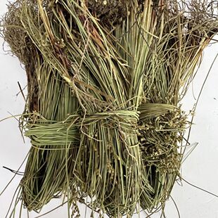 灯心草灯芯草龙须草虎须草席草根秧草水灯心夏天下火煲汤凉菜儿童