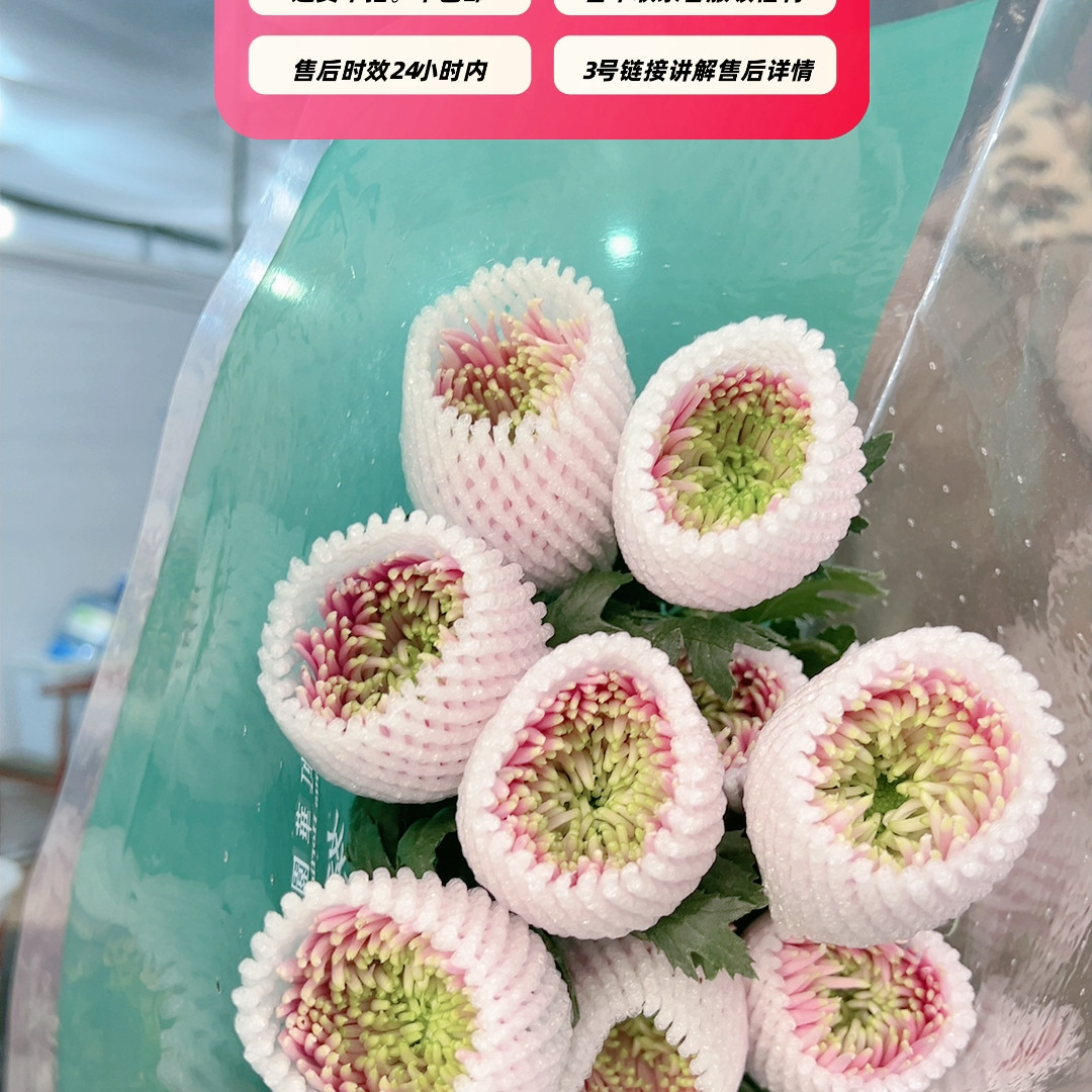 奥利粉烟花菊10枝不包邮,鲜花速递/花卉仿真/绿植园艺,花材,淘宝优惠券,粉丝福利购,淘宝优惠卷