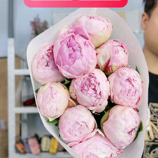 莎拉芍药一支不包邮