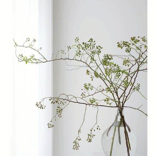 精选山归来鲜切枝客厅花瓶水养