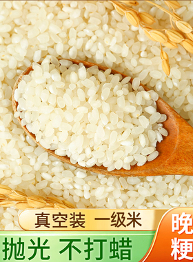 大米新米优质晚稻粳米一级米珍珠米真空装煮粥非五常大米晚稻好米