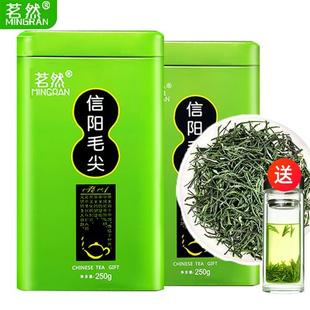 2022年新茶春茶浓香耐泡口粮茶叶绿茶500g 信阳毛尖一斤装