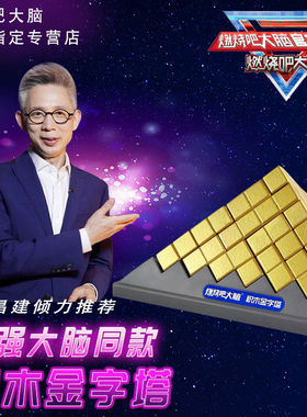 燃烧吧大脑积木金字塔强