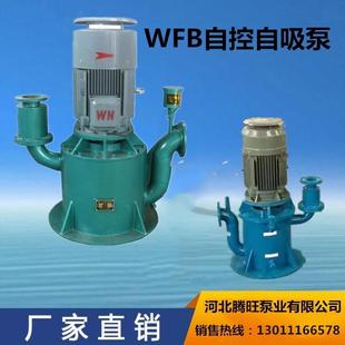BD3系列无密封自控自吸泵 直销800WFB BD2 BD1 不锈钢自吸泵