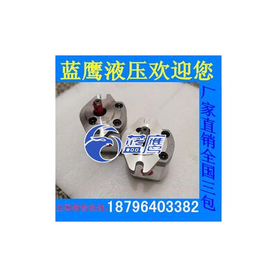 新款P101/P102/P104/P105/P106/P107/P108/P109 RP01GT齿轮泵包邮