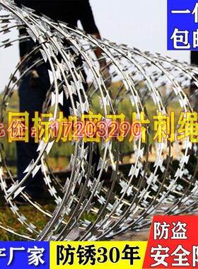 刀片刺绳防盗网铁丝铁蒺藜刺网