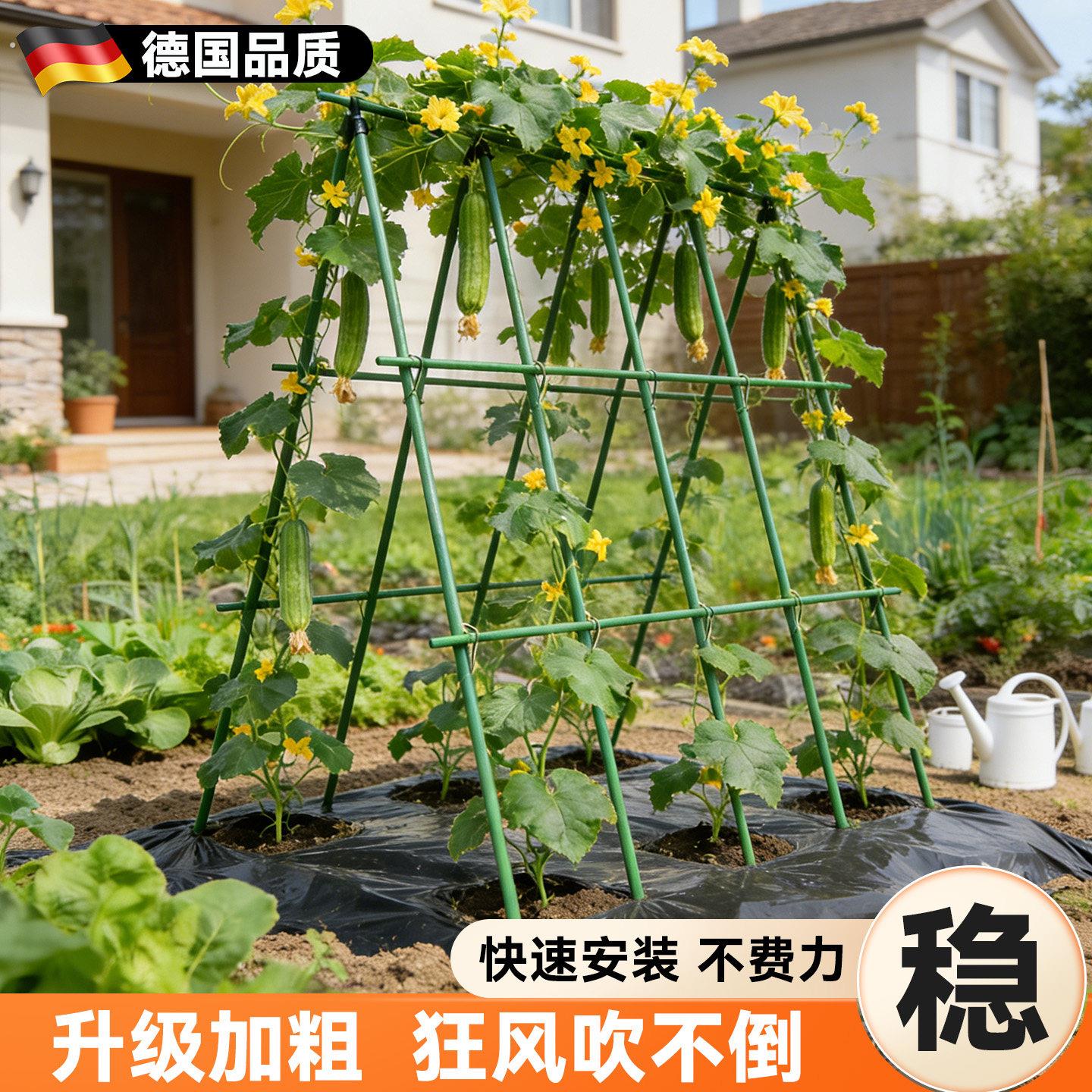 丝瓜架子豆角架黄瓜爬藤架楼顶种菜搭棚支架蔬菜葡萄架子庭院户外