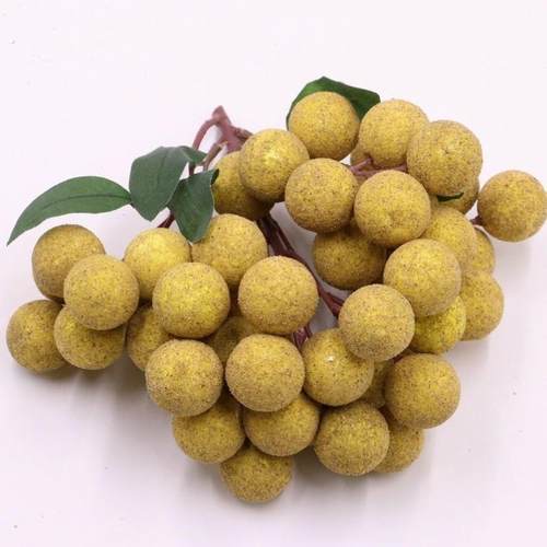 仿真水果假龙眼桂圆模型道具食物食品蔬果橱窗装饰品样板摆设拍摄