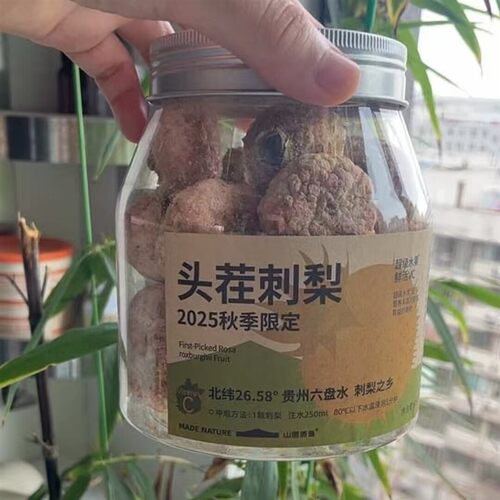 头茬冻干刺梨2瓶 天然维C炸弹 小灯泡饮品(送不锈钢勺送试喝