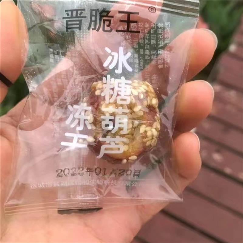 新日期冻干冰糖葫芦无核空心山楂球独立小包装老北京口味儿