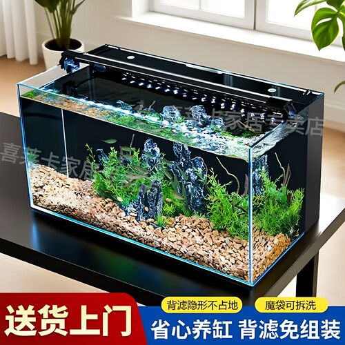 超白金一体过滤客厅兰寿鱼缸