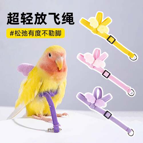 鹦鹉放飞绳不伤脚小鸟超轻牵引绳外出放飞遛鸟神器小太阳专用背带
