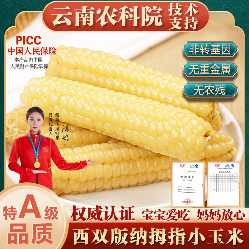正宗云南西双版纳香糯拇指玉米手指玉米小玉米新鲜真空宝宝爱吃