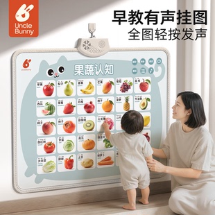 早教有声挂图婴幼儿童启蒙点读发声宝宝学说话认知墙贴一岁玩具书