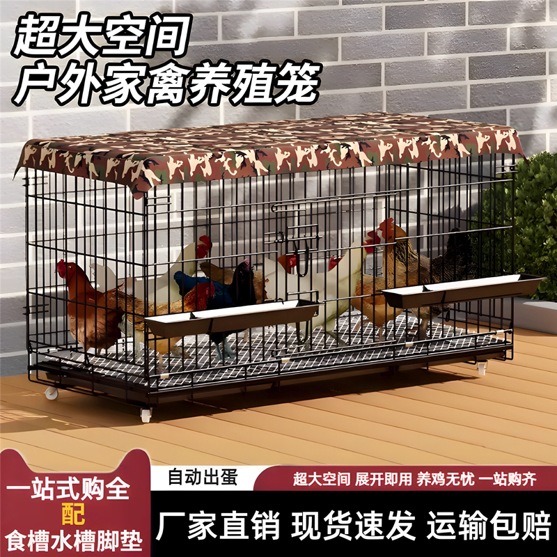 小鸡专用笼自动下蛋鸡笼子家用