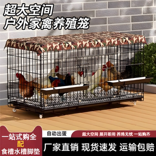 小鸡专用笼自动下蛋鸡笼子家用室内自动清粪大号室外防雨鸭鹅鸡窝
