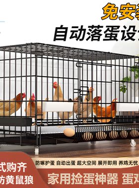 铁鸡笼子母鸡下蛋笼养殖鸡舍室外