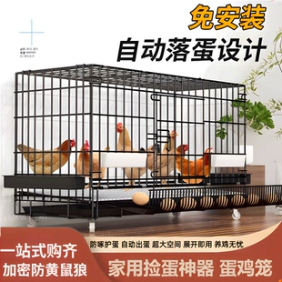 鸡笼子母鸡下蛋笼养殖鸡舍室外防雨室内自动清粪大号鸡窝专用铁笼