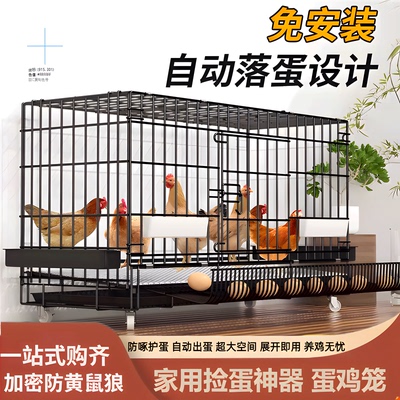铁鸡笼子母鸡下蛋笼养殖鸡舍室外