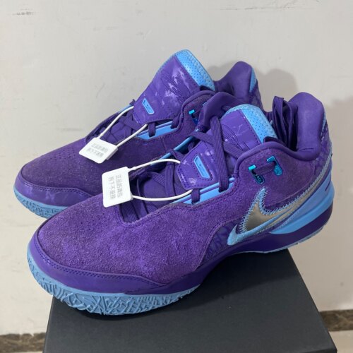 Nike Zoom LeBron NXXT Ge FJ1566-500 M广东BB仓下单请看详情页C