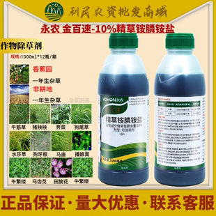 永农 金百速10%精草铵膦铵盐 草铵膦果园草牛筋草农药除草剂1000g