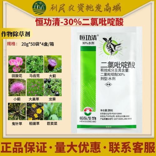 绿霸恒功清二氯吡啶酸鬼针草