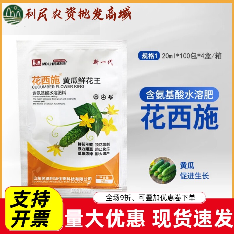 民德利华花西施黄瓜鲜花