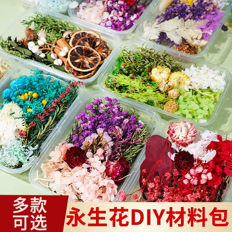 天然干花永生花假花仿真花押花压花儿童手工diy材料包圣诞节礼物