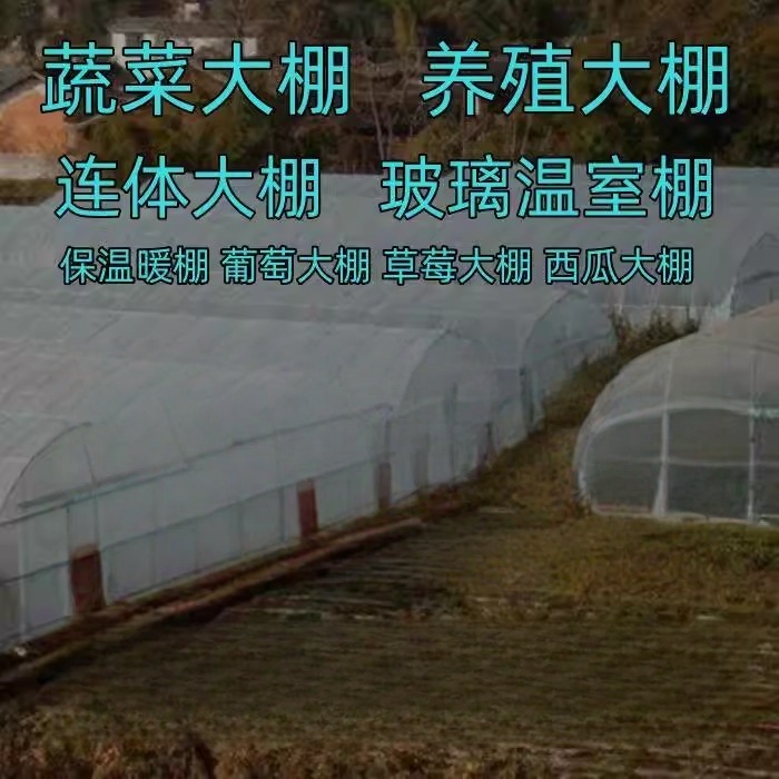 蔬菜养殖温室大棚骨架钢管钢架椭圆管种植草莓育苗猪牛羊鸡鸭大棚