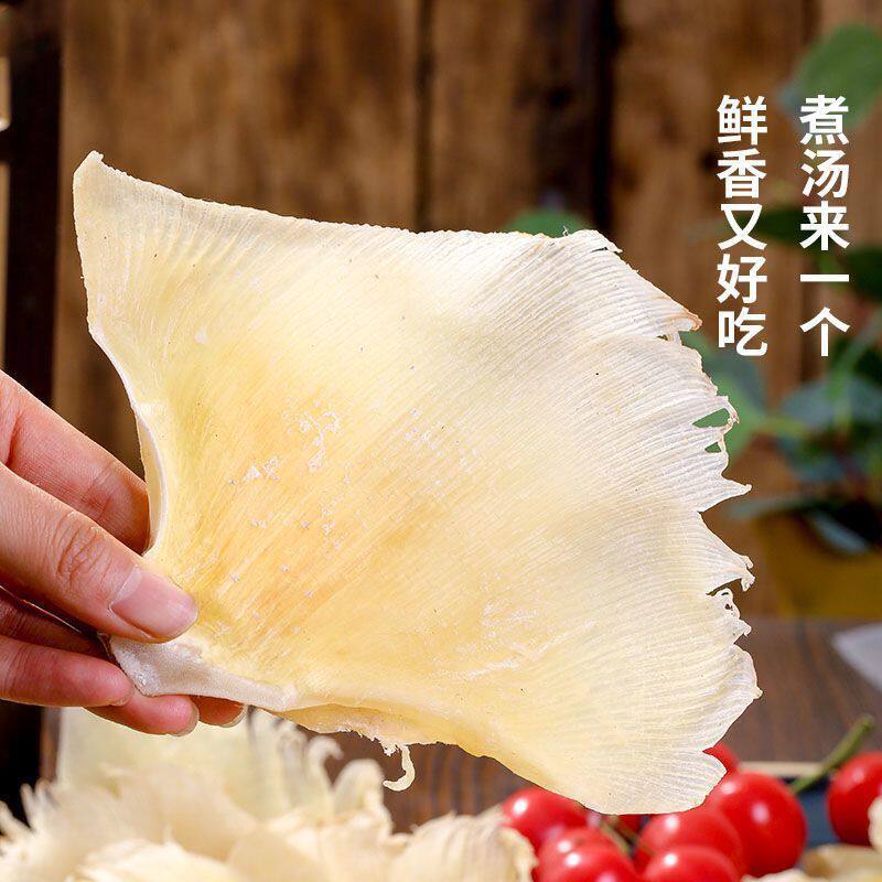 特大号北海海狗翅蒲鱼翅软骨天狗干货天然海翅天星翅滋补鱼翅煲汤