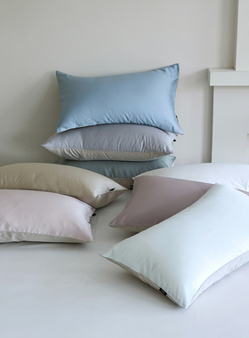 花时间生活100支兰精天丝莱赛尔枕芯套凉感丝滑家用枕套一对