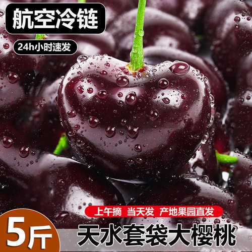 天水套袋车厘子4J5斤原箱礼盒