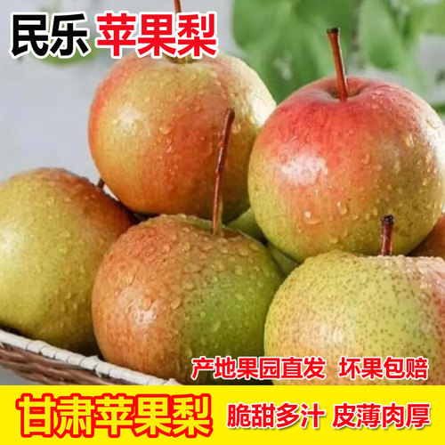 甘肃民乐苹果梨脆甜爆汁可做冻梨