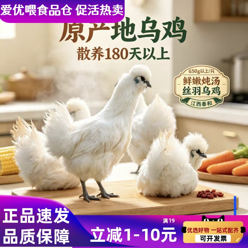 泰和原种乌鸡新鲜现杀土鸡农家散养白凤老母鸡公鸡整只正宗乌骨鸡