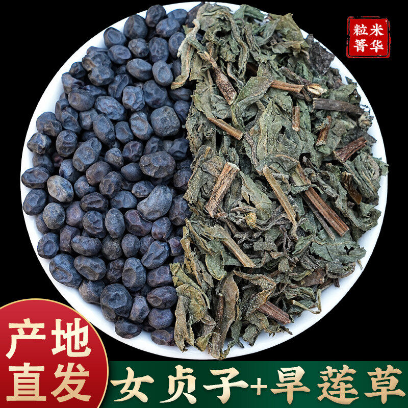 女贞子旱莲草秦岭野生冬至女贞子夏至旱莲草二至丸原料精选