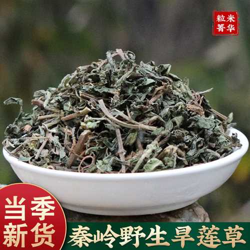 旱莲草秦岭野生中药材