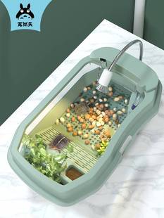 。包邮 乌龟缸送2只小乌龟活体巴西龟物带晒台龟盆宠物盒儿童礼物