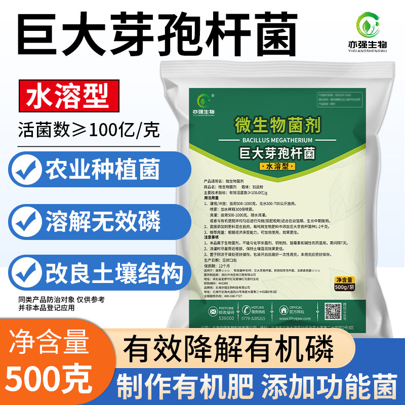巨大芽孢杆菌土壤有机磷蔬菜肥效