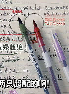 点石2001双头批改红笔彩色标记笔