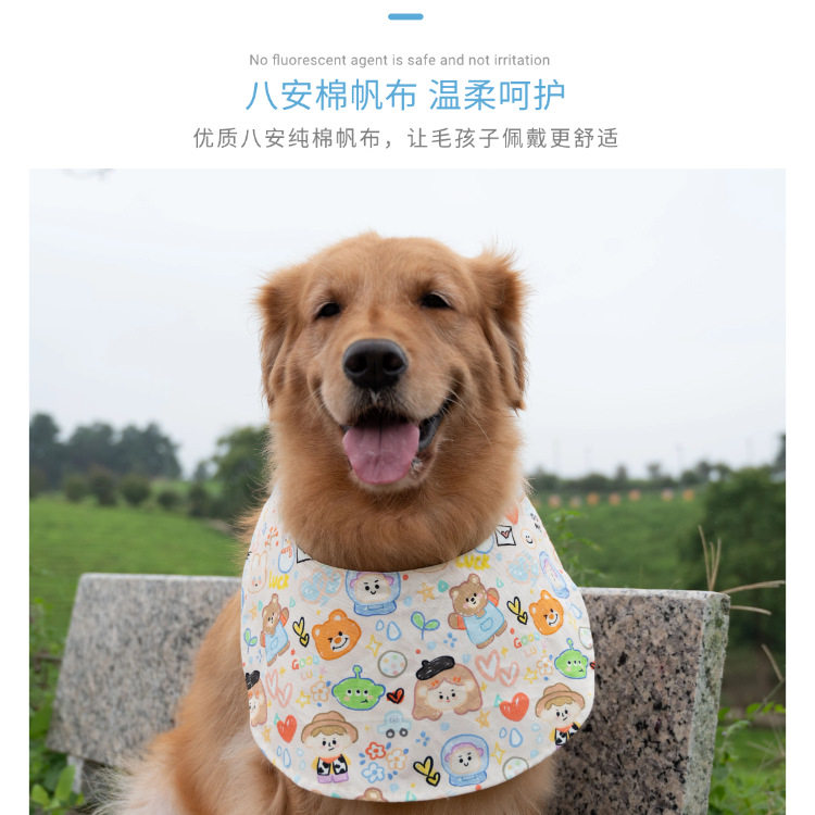 阿拉斯加萨摩金毛宠物狗