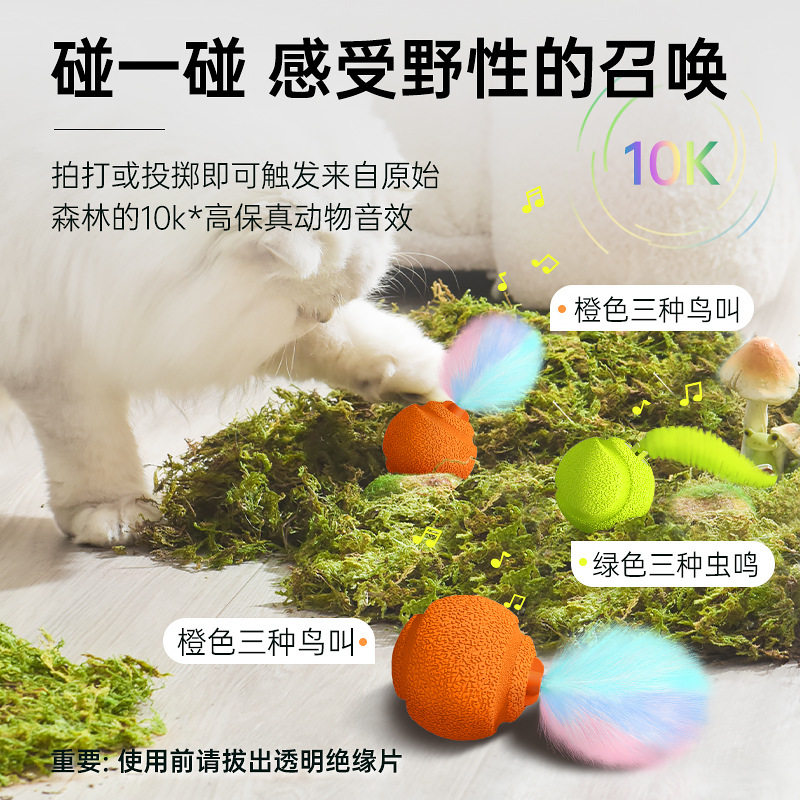宠有引力叫叫球玩具小猫