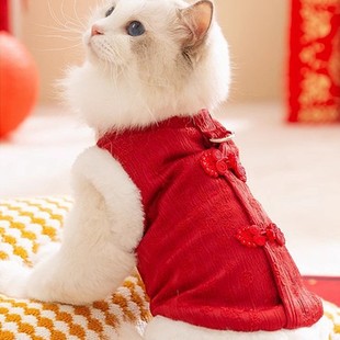 宠物小猫咪衣服过年保暖绒衣布偶小猫蓝猫防掉毛加绒新年唐装