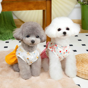 猫咪公主裙奶油朵朵牵引小型犬泰迪宠物25小草兔 狗狗衣服春夏薄款