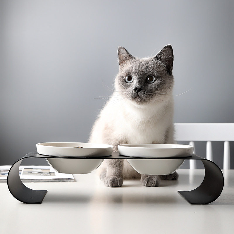 新款宠物用品高脚宠物碗猫碗食盆双碗狗碗铁架保护脊椎套装陶瓷碗