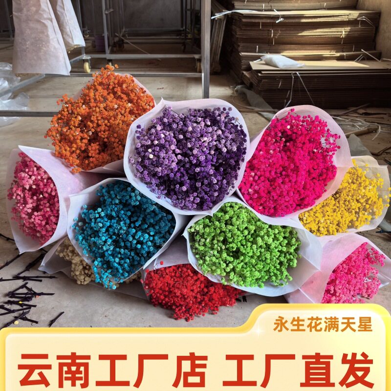 满天星永生花云南满天星干花真花束礼物小清新摆件客厅摆设装饰