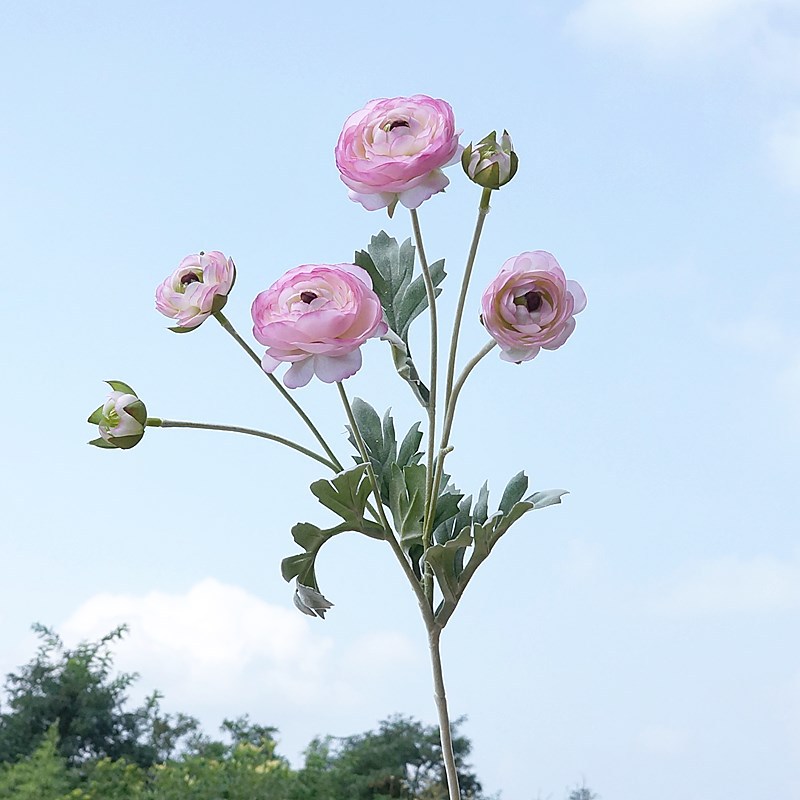 洋牡丹仿真花茶花陆莲假